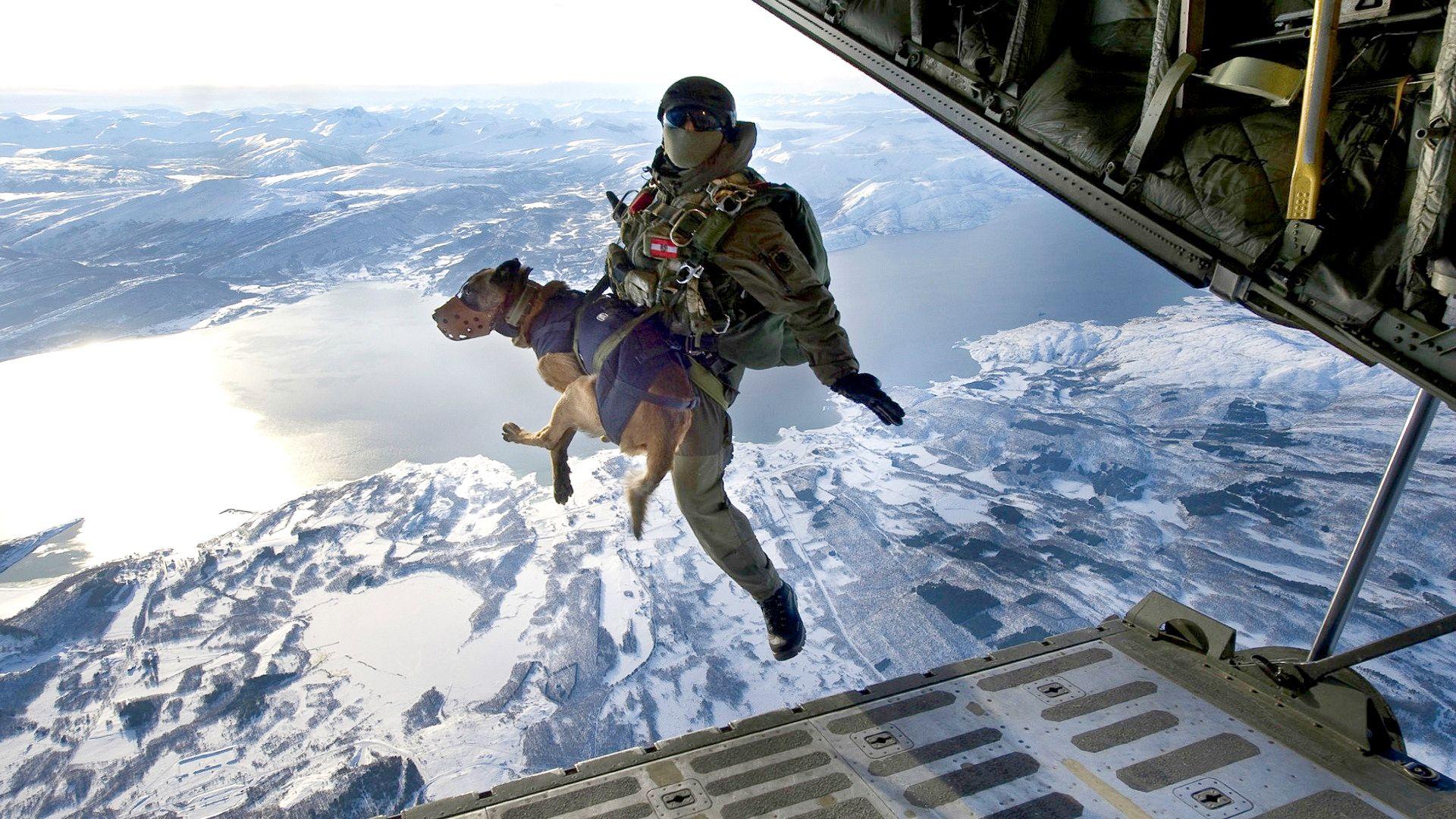 Seal Team Wallpapers Top Free Seal Team Backgrounds WallpaperAccess