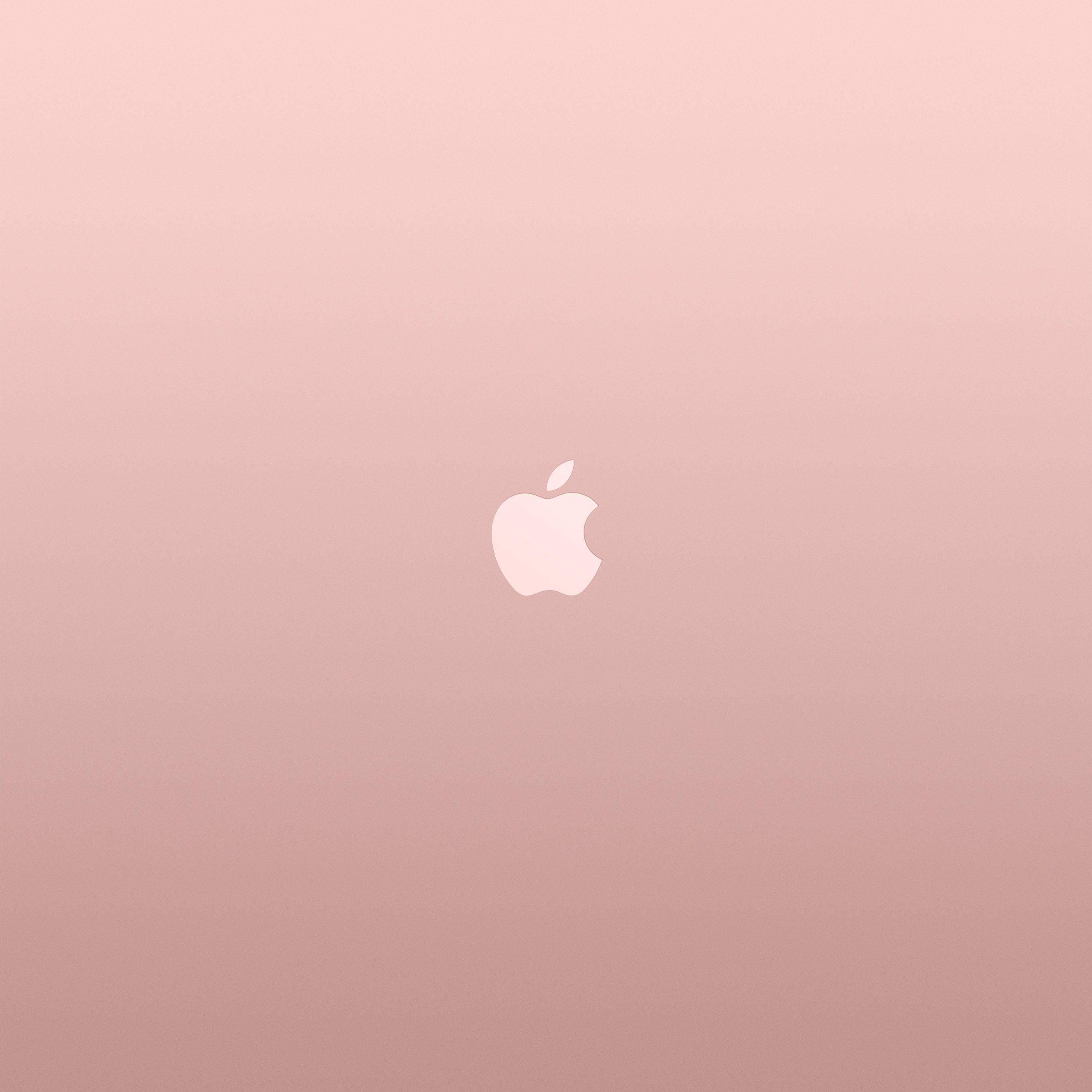 Rose Gold iPad Wallpapers Top Free Rose Gold iPad Backgrounds