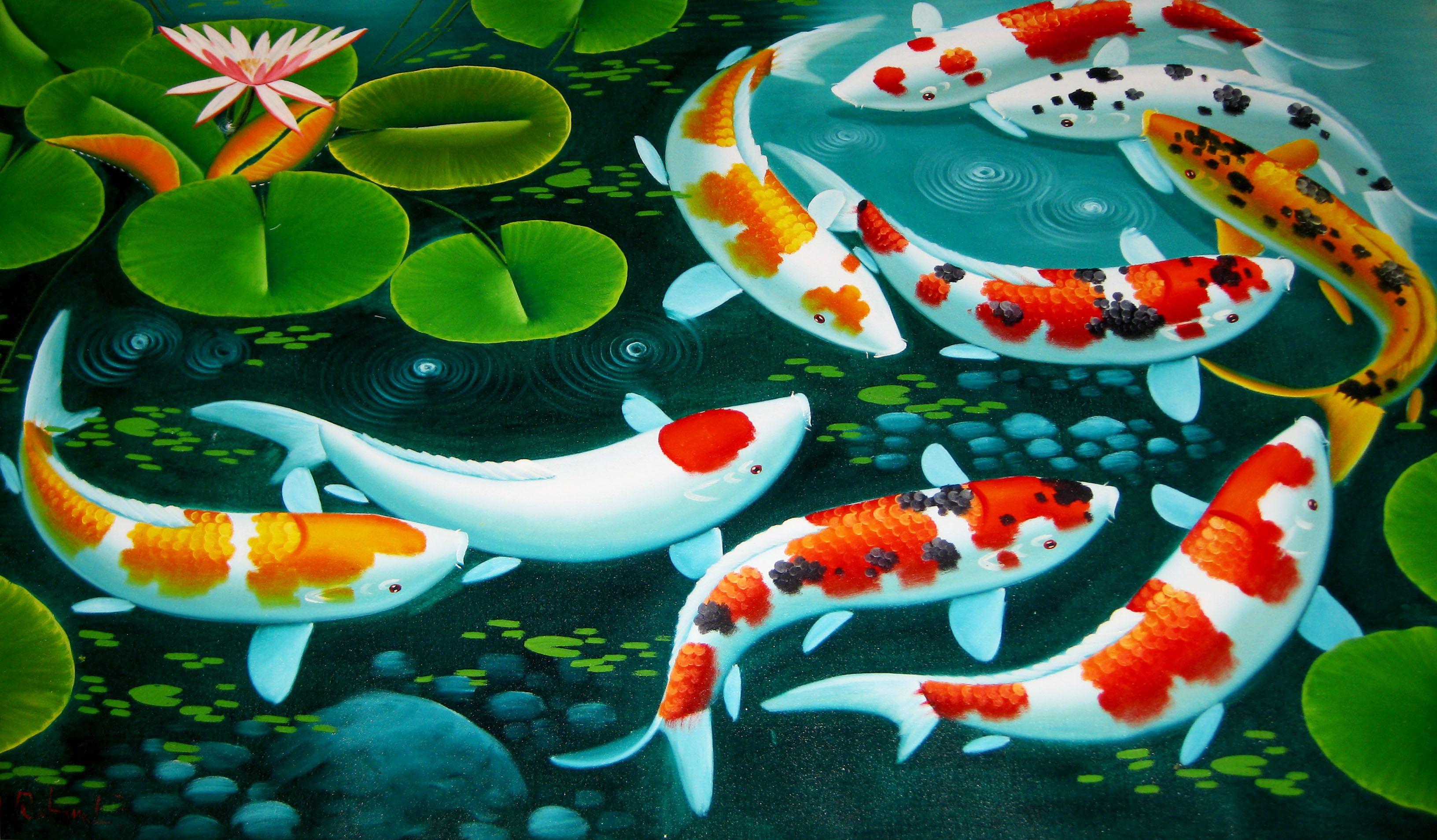 Animated Koi Fish Wallpapers Top Free Animated Koi Fish Backgrounds