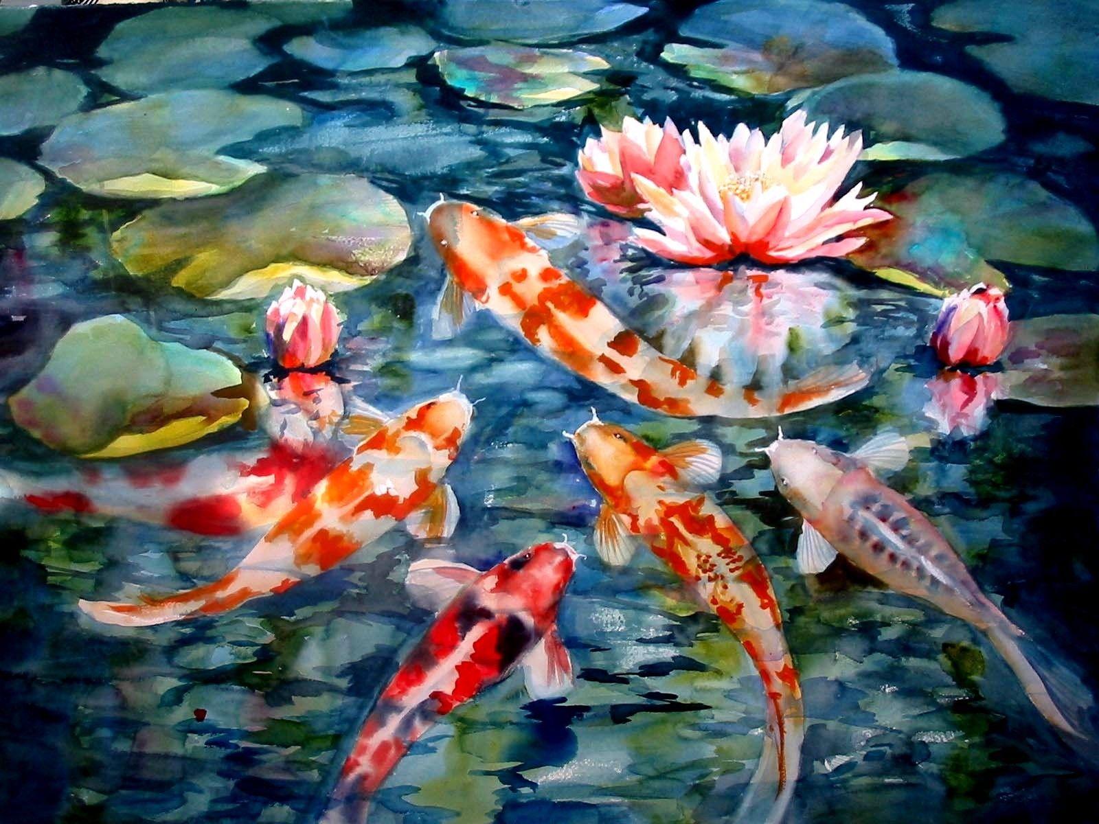 Animated Koi Fish Wallpapers Top Free Animated Koi Fish Backgrounds WallpaperAccess