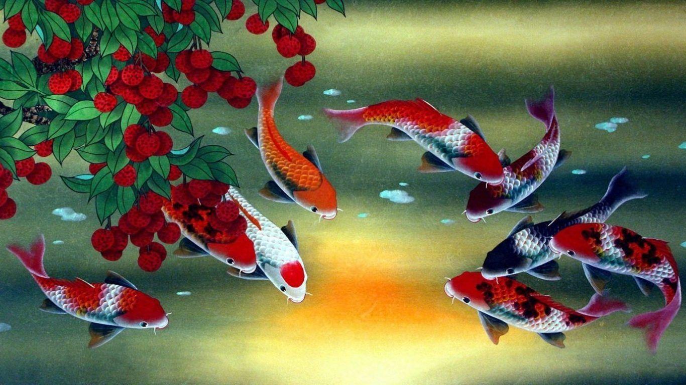 Animated Koi Fish Wallpapers Top Free Animated Koi Fish Backgrounds