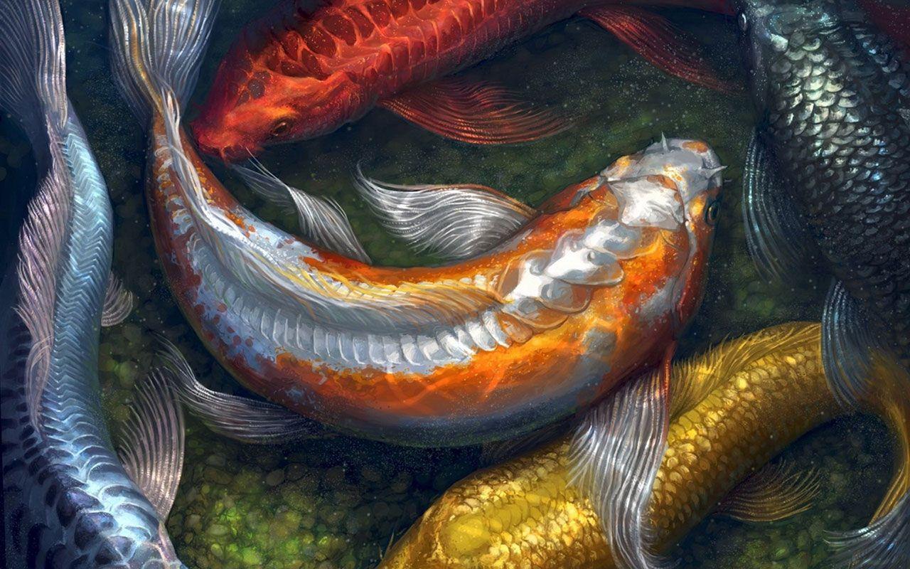 Animated Koi Fish Wallpapers Top Free Animated Koi Fish Backgrounds