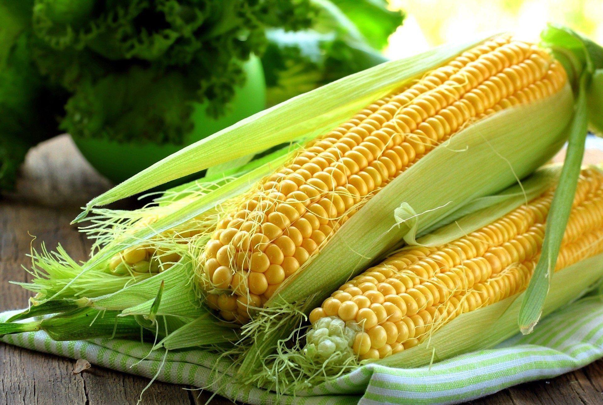 Wallpapers Fresh Corn
