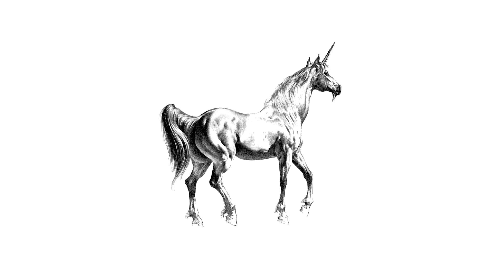 White Unicorn Wallpapers Top Free White Unicorn Backgrounds WallpaperAccess