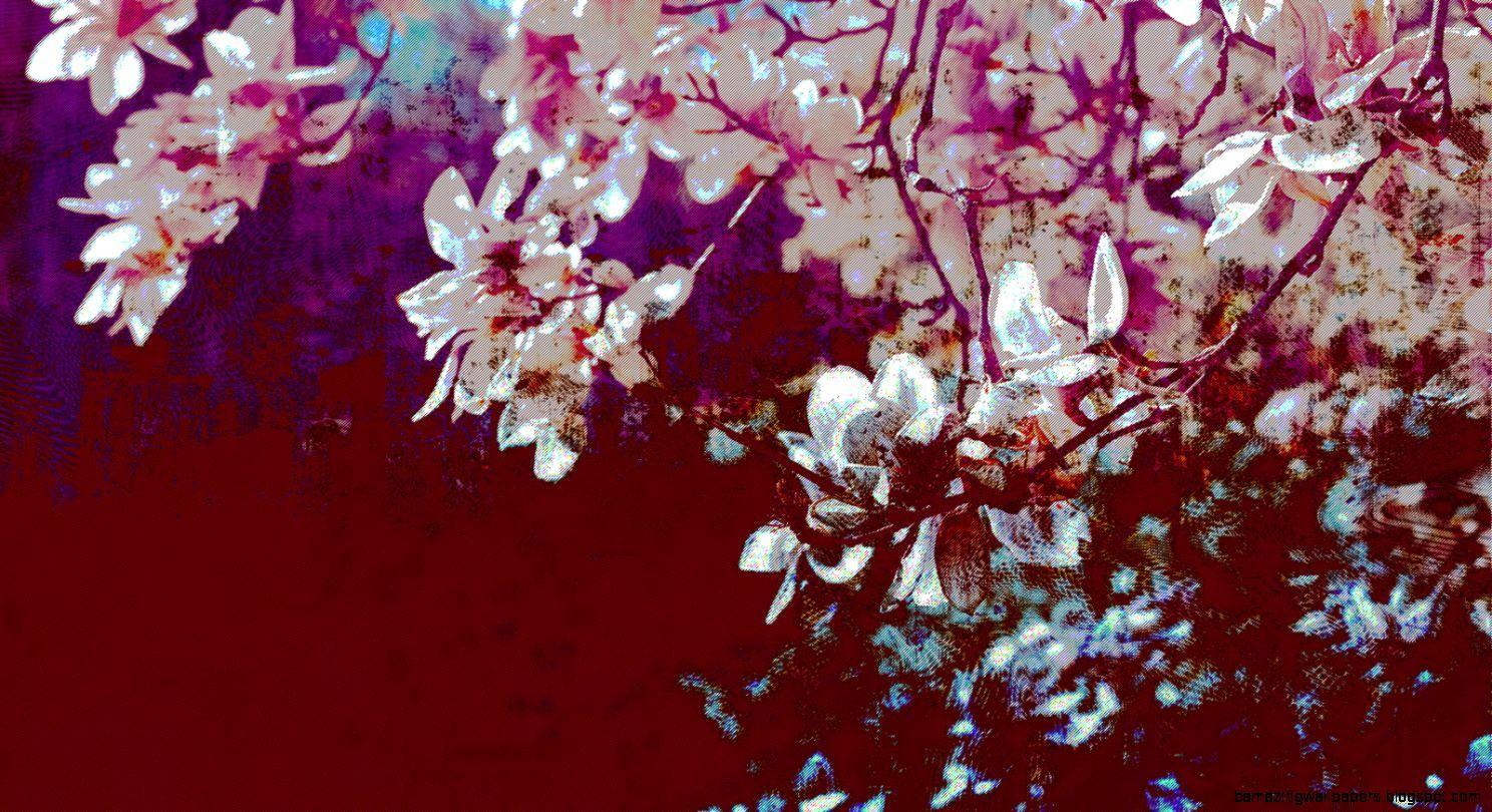 Red Cherry Wallpapers Top Free Red Cherry Backgrounds WallpaperAccess