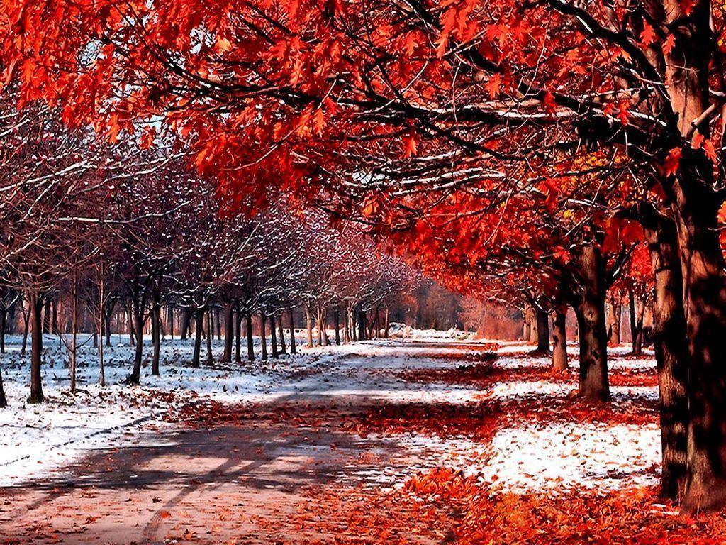Autumn Snow Wallpapers Top Free Autumn Snow Backgrounds WallpaperAccess