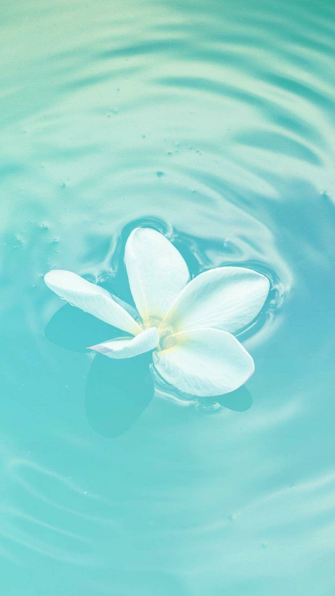 Turquoise Wallpaper For Iphone