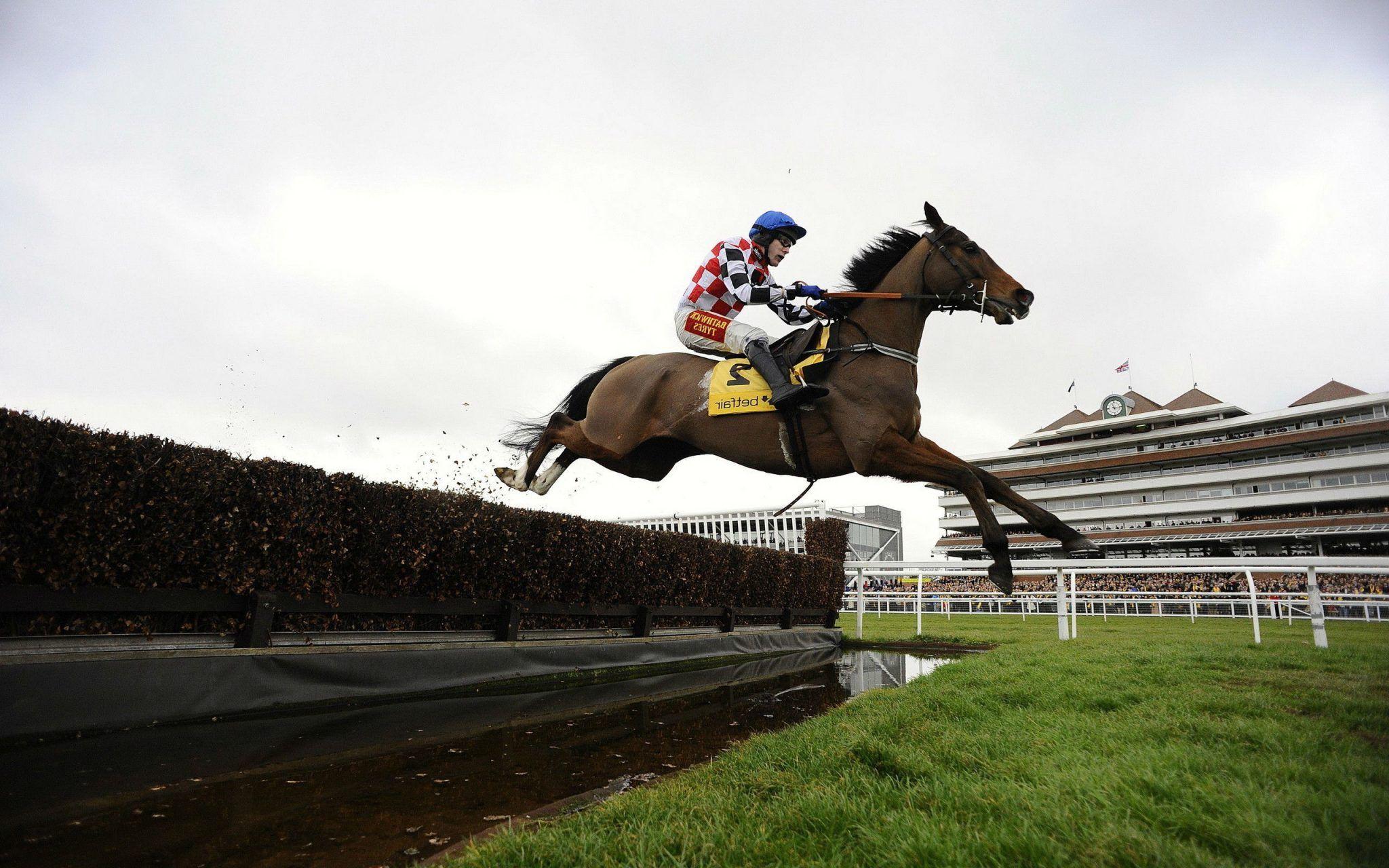 Horse Jumping Wallpapers Top Free Horse Jumping Backgrounds