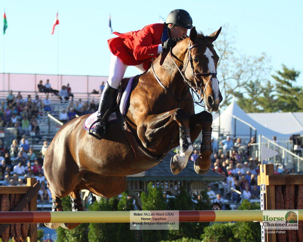 Horse Jumping Wallpapers Top Free Horse Jumping Backgrounds