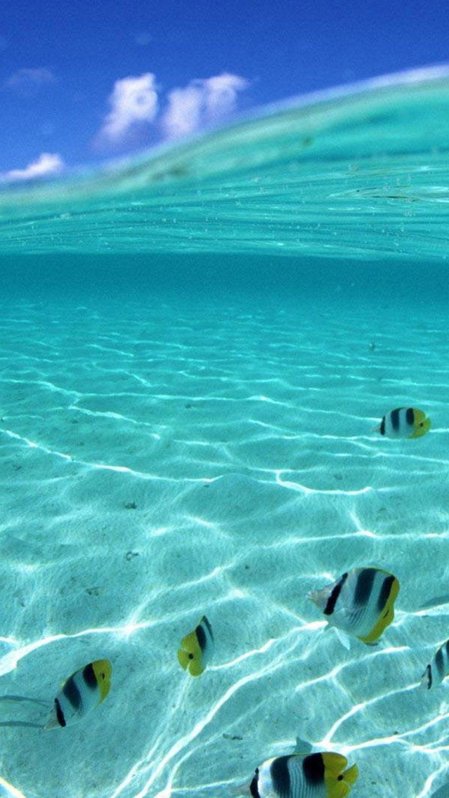 Underwater Aesthetic Wallpapers Top Free Underwater