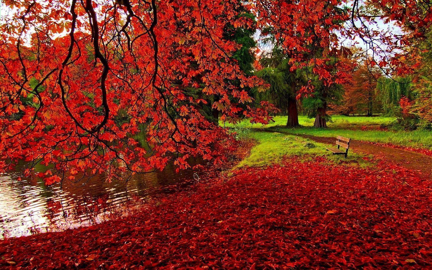 Red Fall Wallpapers Top Free Red Fall Backgrounds WallpaperAccess
