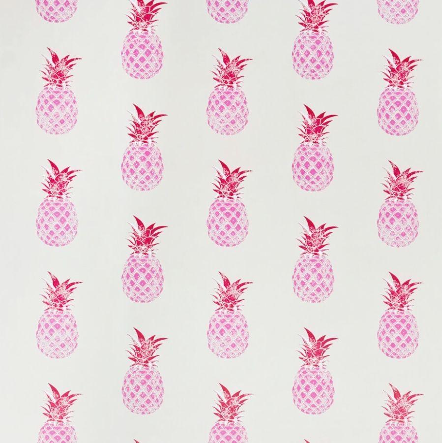 Pink Pineapple Wallpapers Top Free Pink Pineapple Backgrounds