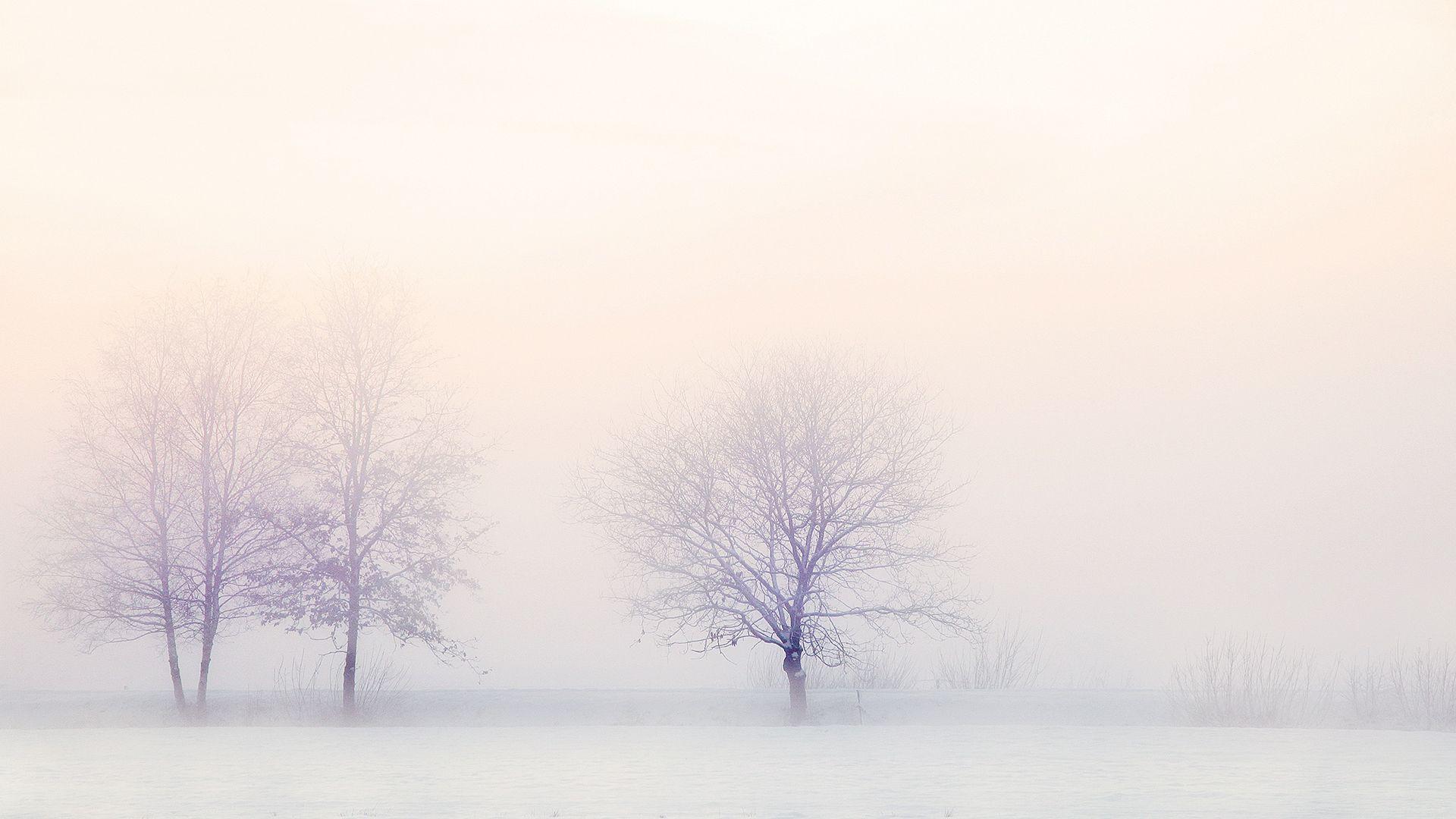 White Laptop Wallpapers Top Free White Laptop Backgrounds