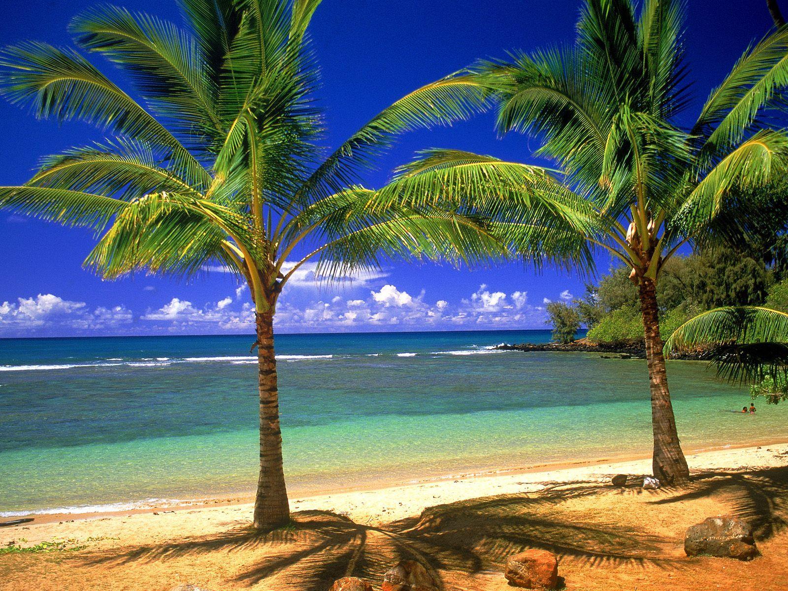 Hawaii Beach Scenes Wallpapers Top Free Hawaii Beach Scenes
