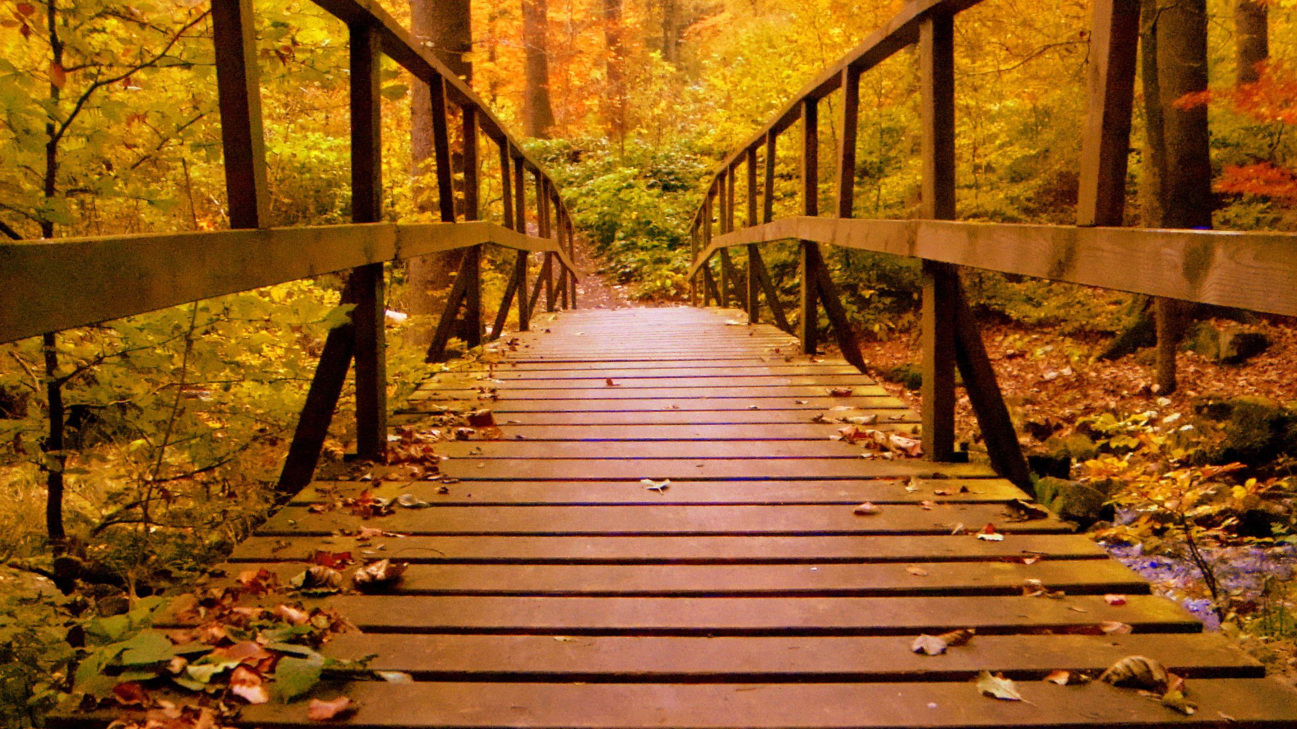 Wooden Bridge Wallpapers Top Free Wooden Bridge Backgrounds WallpaperAccess
