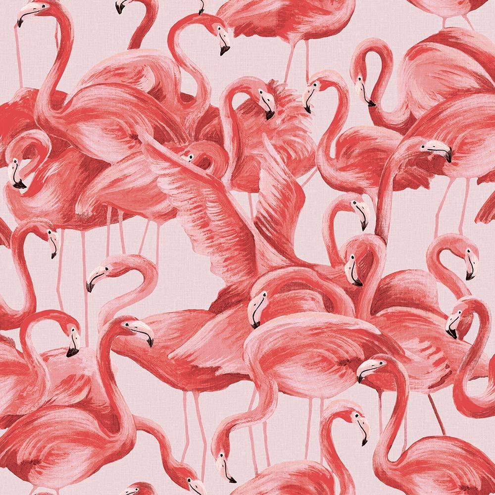 Pink Flamingo Wallpapers Top Free Pink Flamingo Backgrounds WallpaperAccess