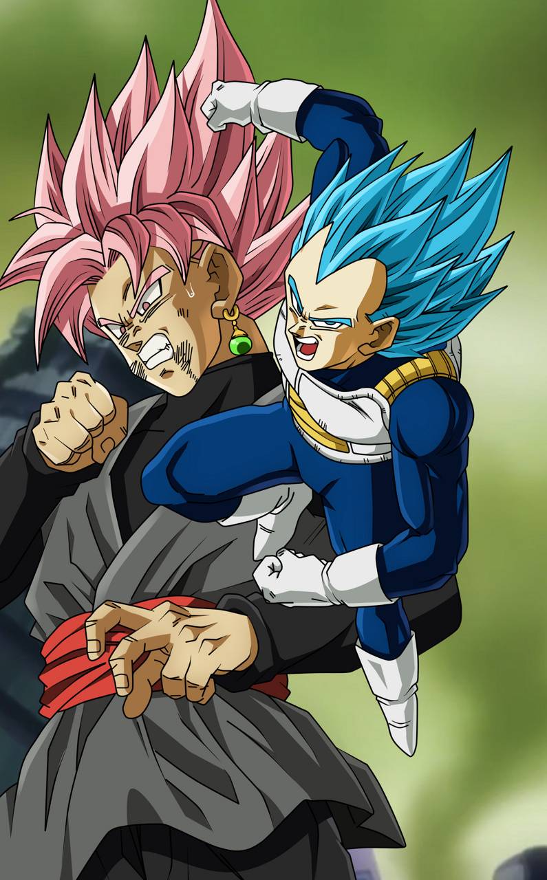 Vegeta vs Goku Black Wallpapers Top Free Vegeta vs Goku Black