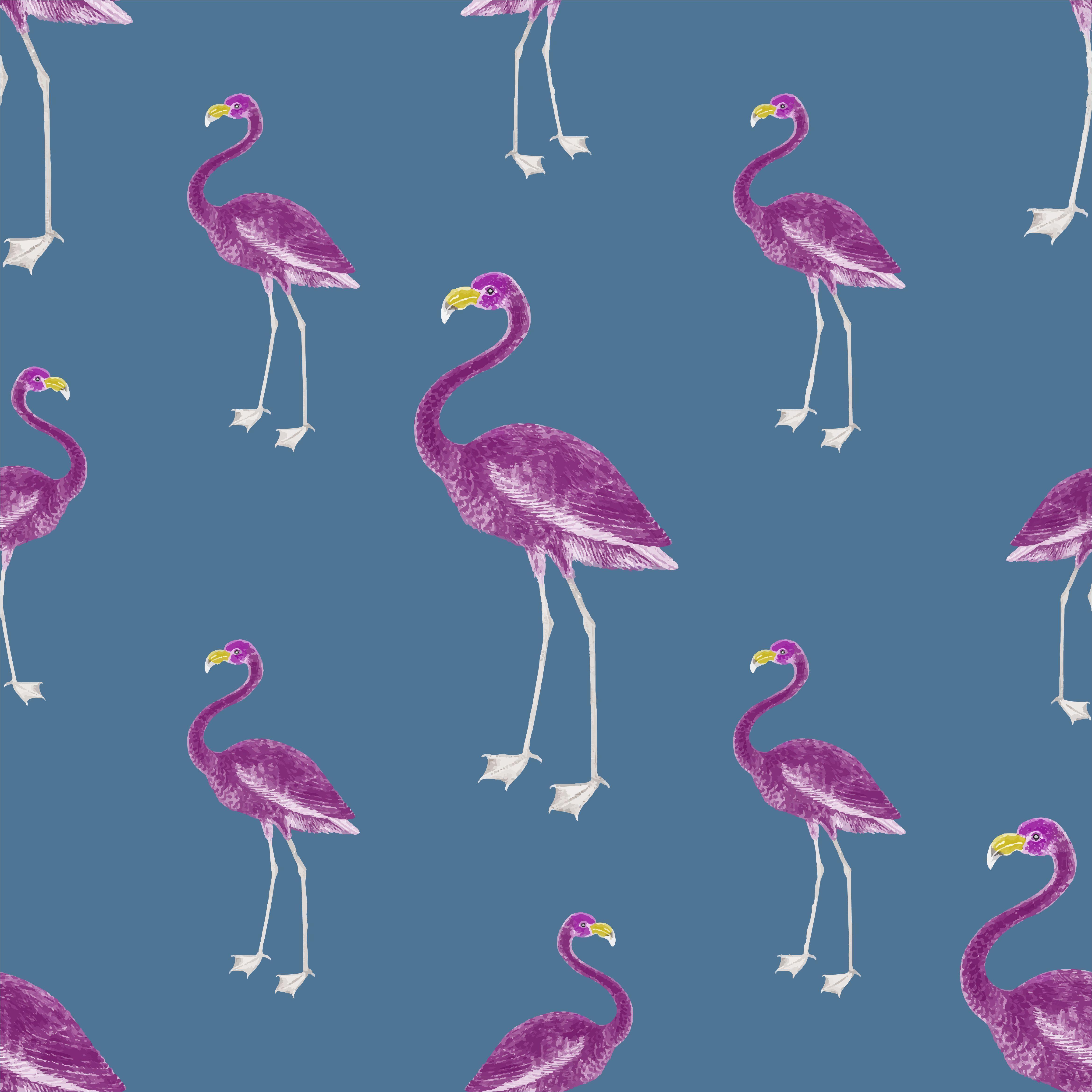 Pink Flamingo Wallpapers Top Free Pink Flamingo Backgrounds