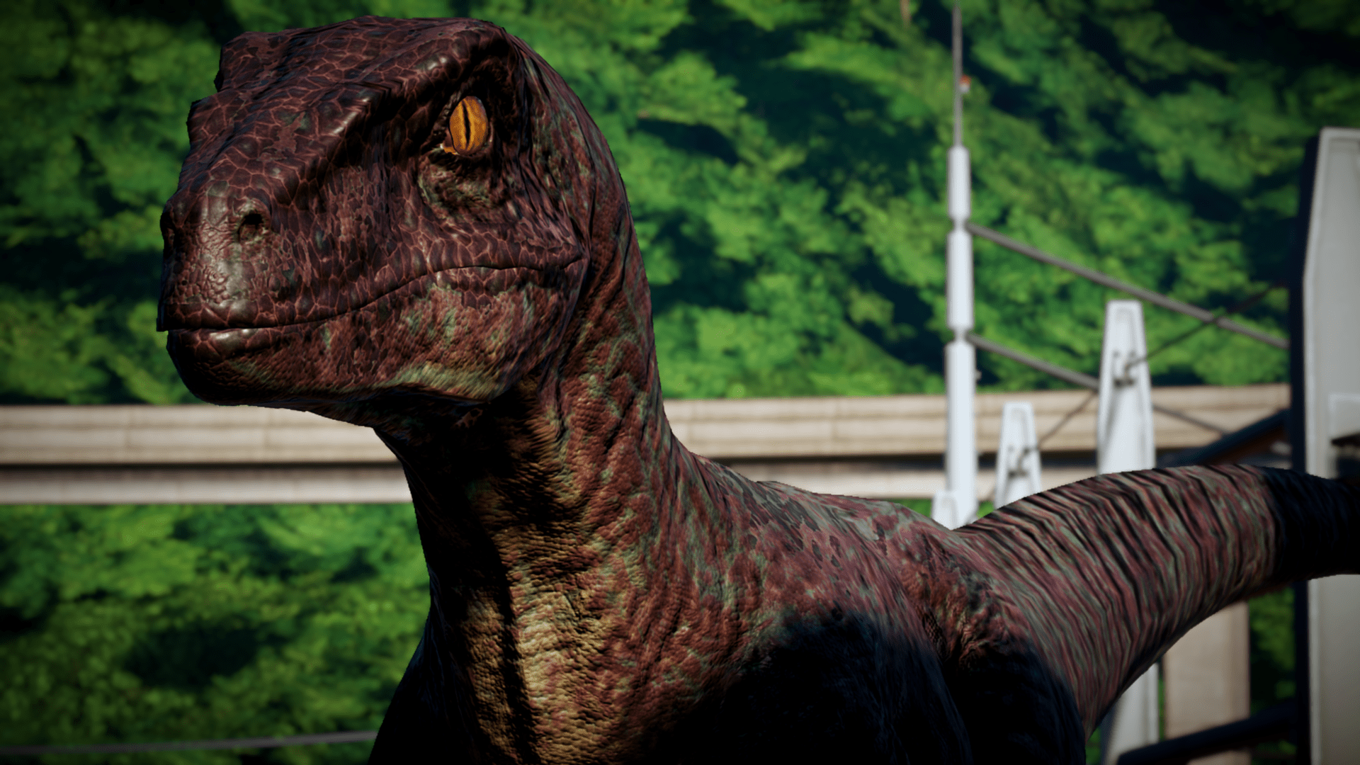 Velociraptor Blue Wallpapers Top Free Velociraptor Blue Backgrounds