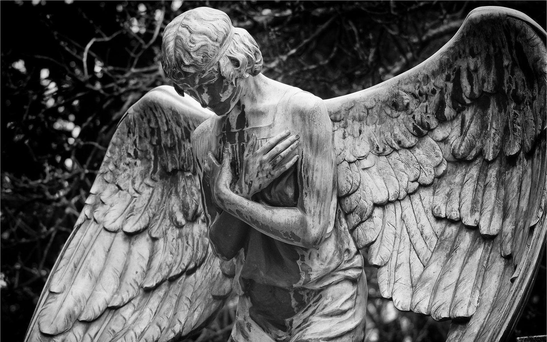 Angel Statue Wallpapers Top Free Angel Statue Backgrounds