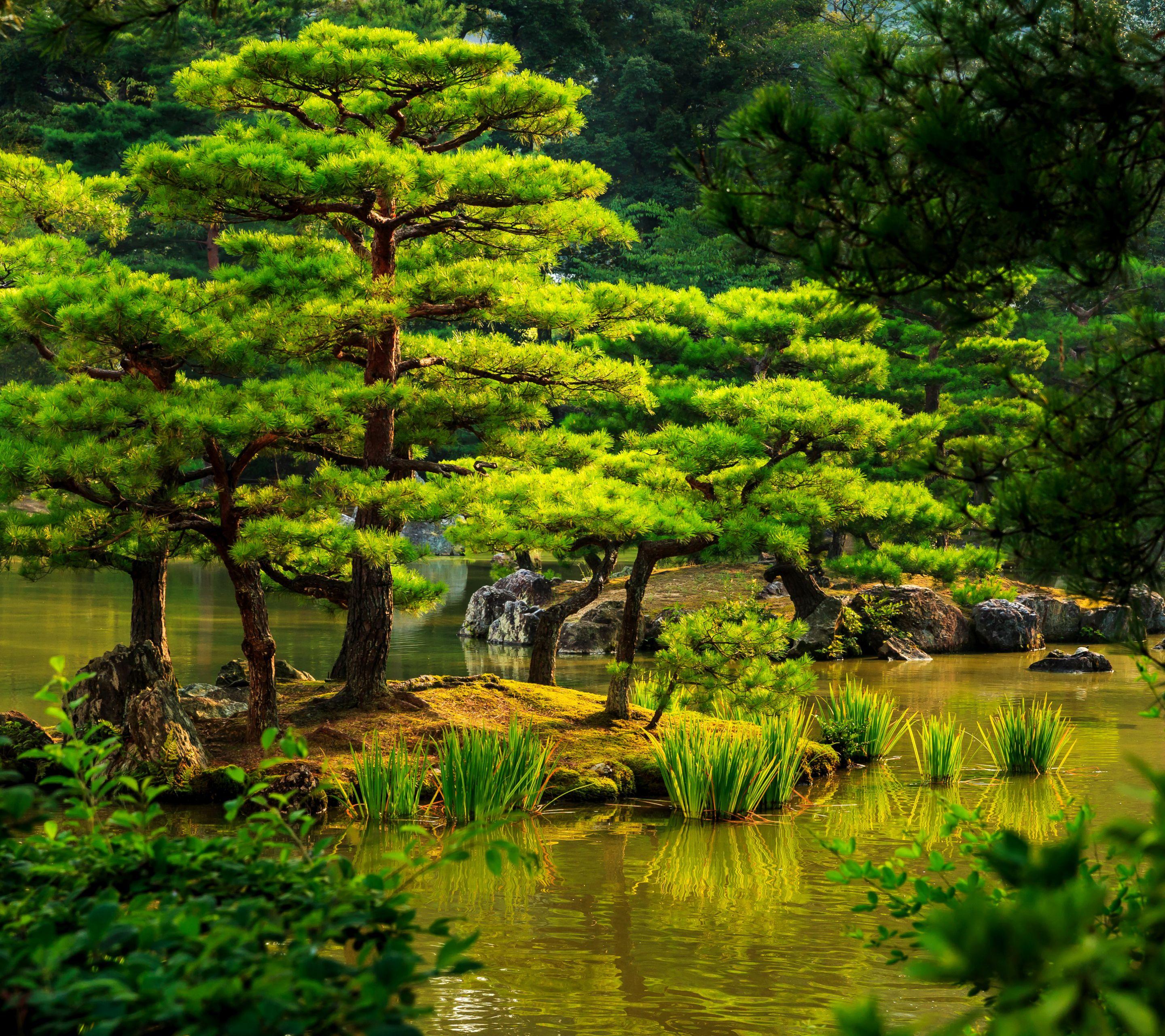 Japanese Green Wallpapers Top Free Japanese Green Backgrounds