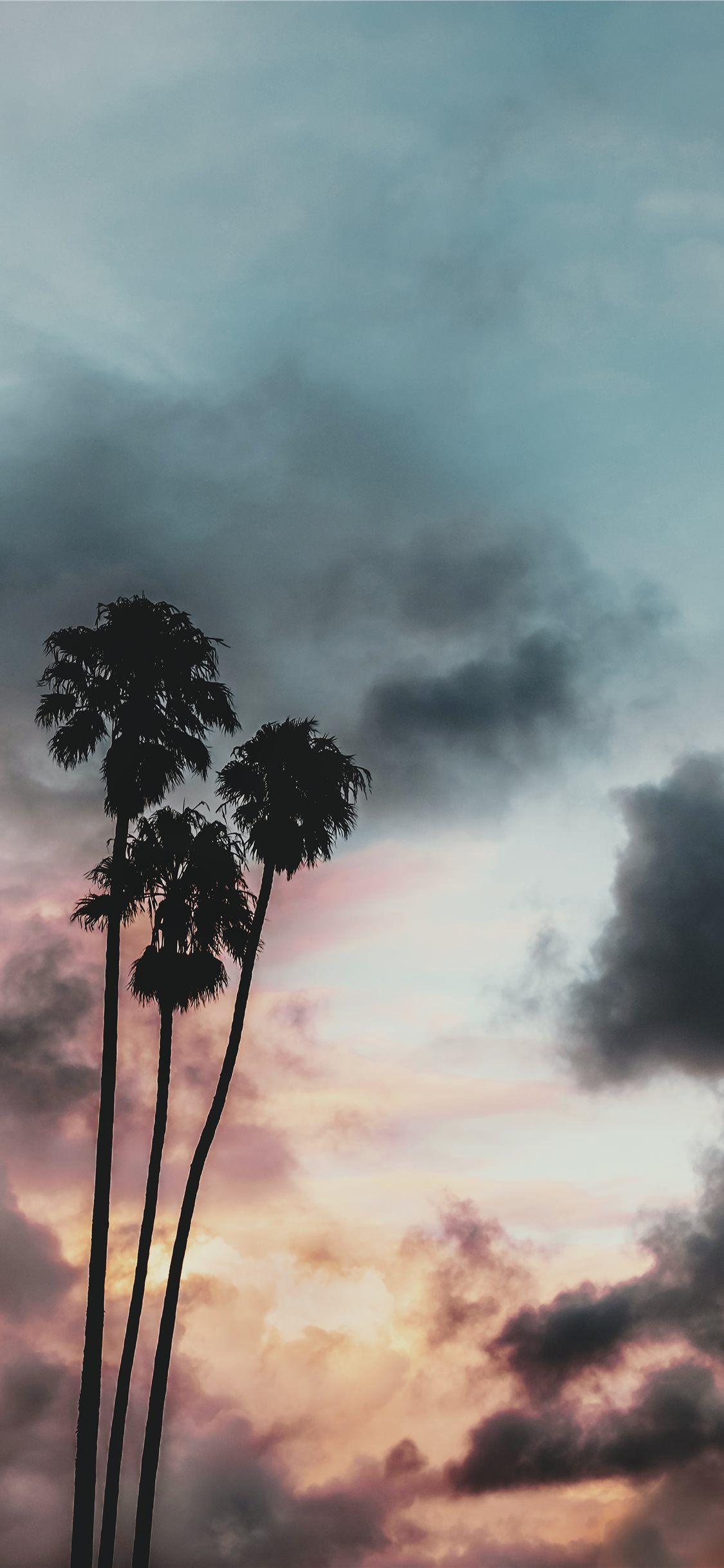 Storm iPhone Wallpapers Top Free Storm iPhone Backgrounds WallpaperAccess