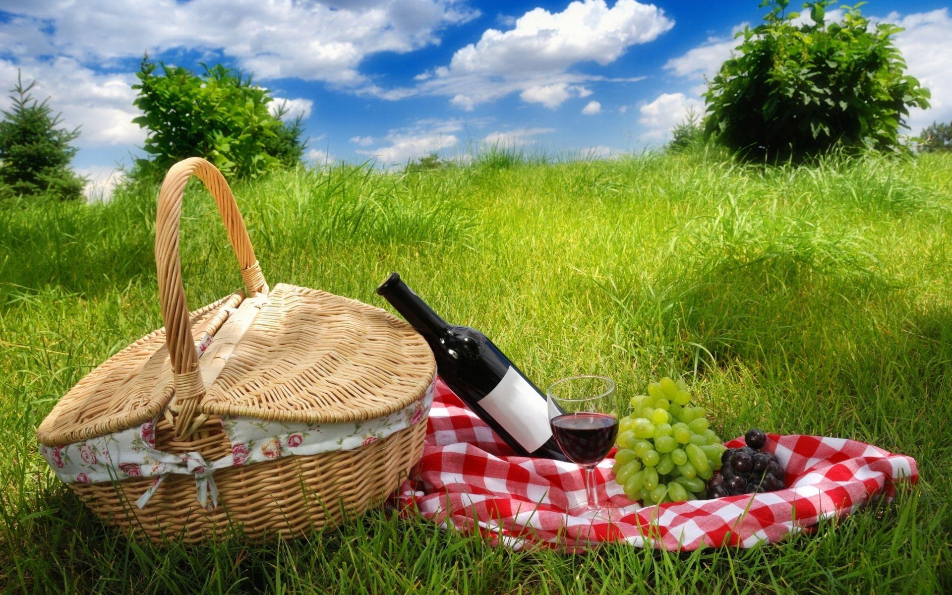 Picnic Wallpapers Top Free Picnic Backgrounds WallpaperAccess