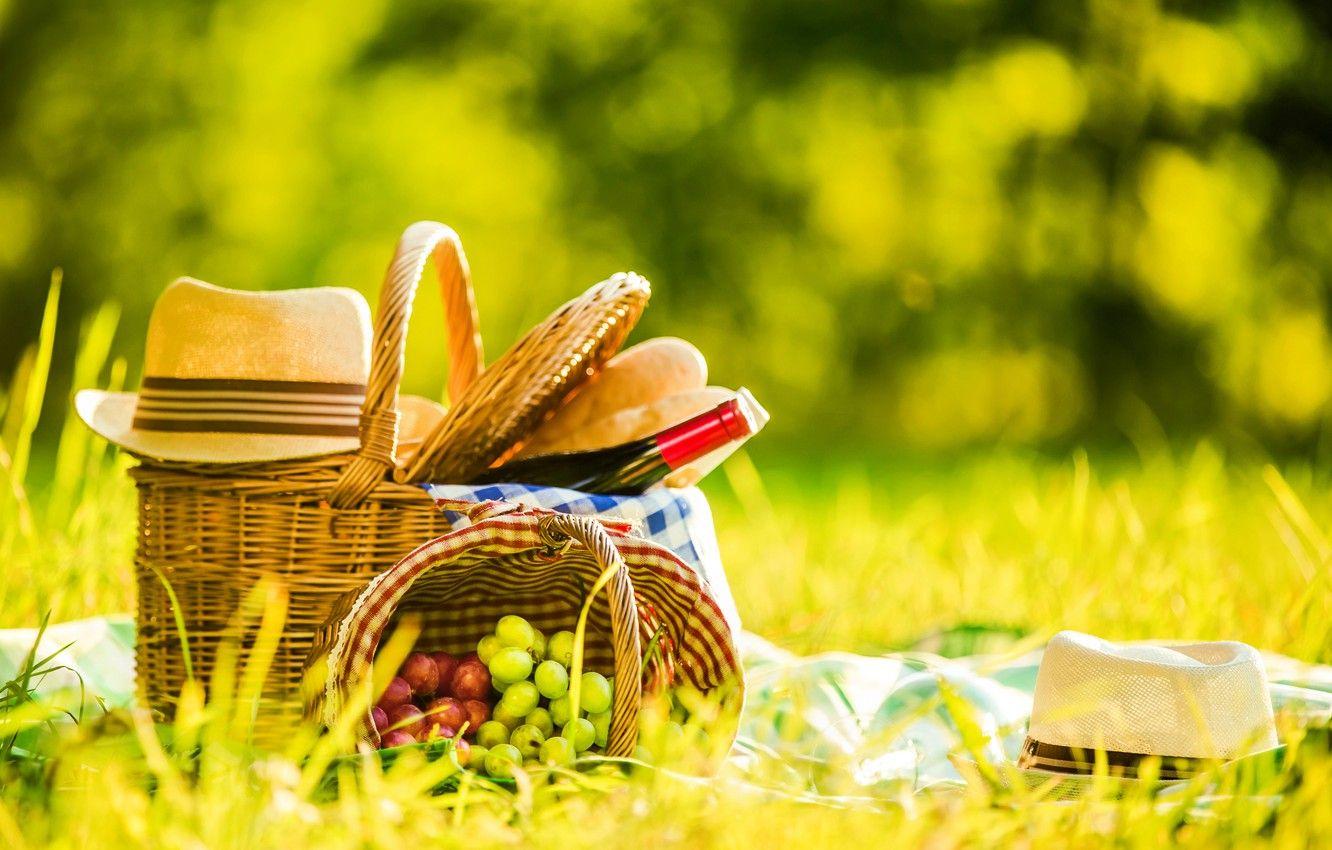 Picnic Wallpapers Top Free Picnic Backgrounds WallpaperAccess