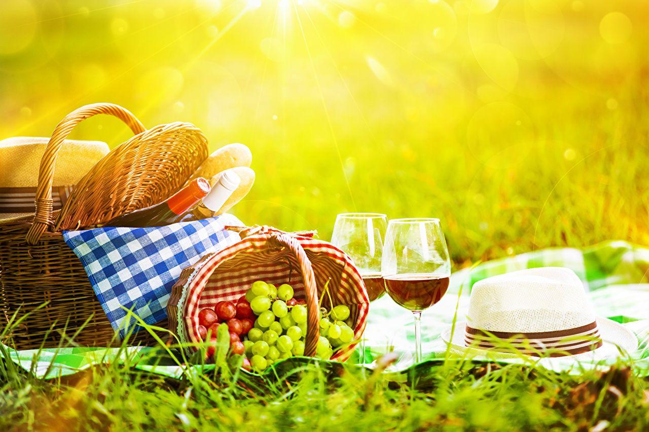 Picnic Wallpapers Top Free Picnic Backgrounds WallpaperAccess