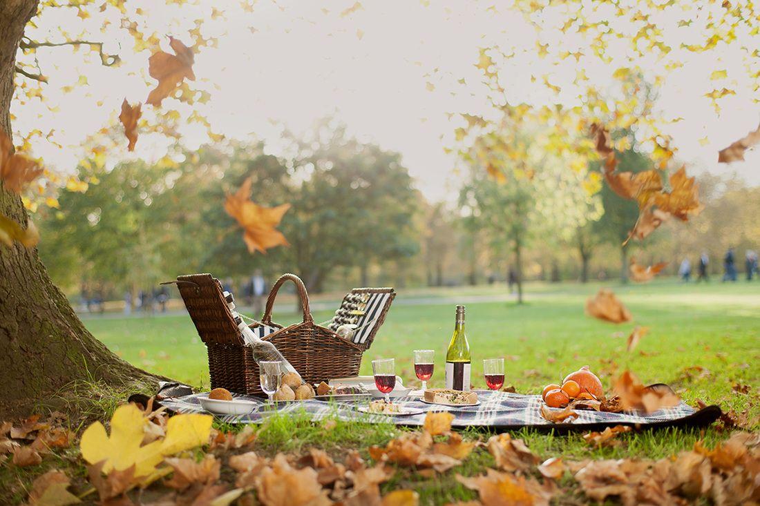 Picnic Wallpapers Top Free Picnic Backgrounds WallpaperAccess