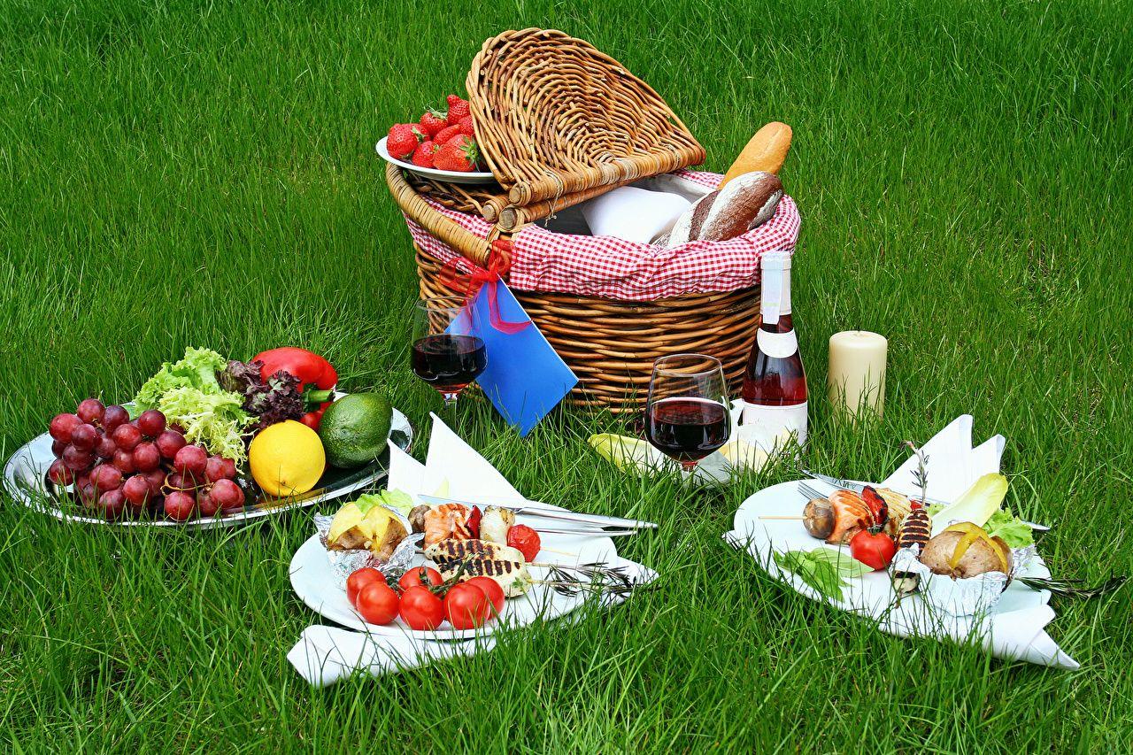 Picnic Wallpapers Top Free Picnic Backgrounds WallpaperAccess