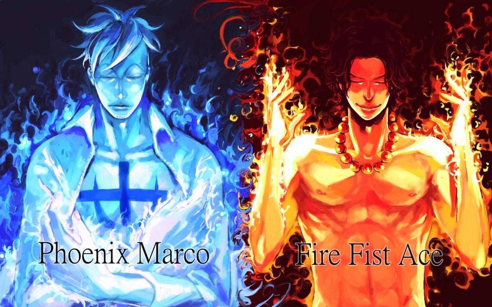 Marco the Phoenix Wallpapers Top Free Marco the Phoenix Backgrounds