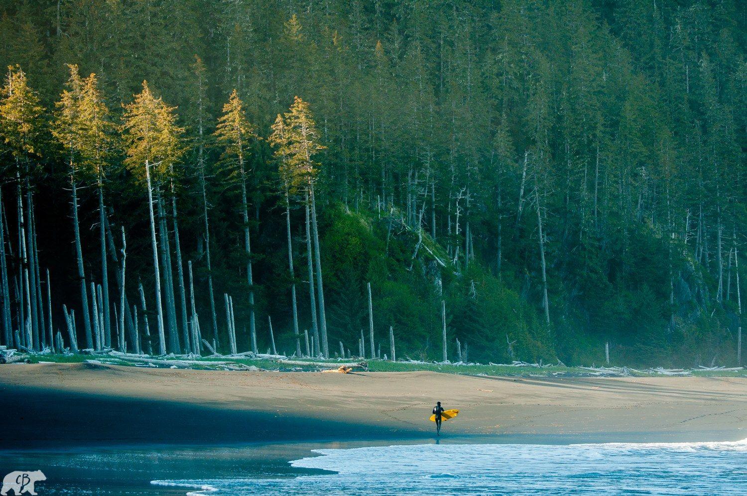 Film Photography Wallpapers Top Free Film Photography Backgrounds