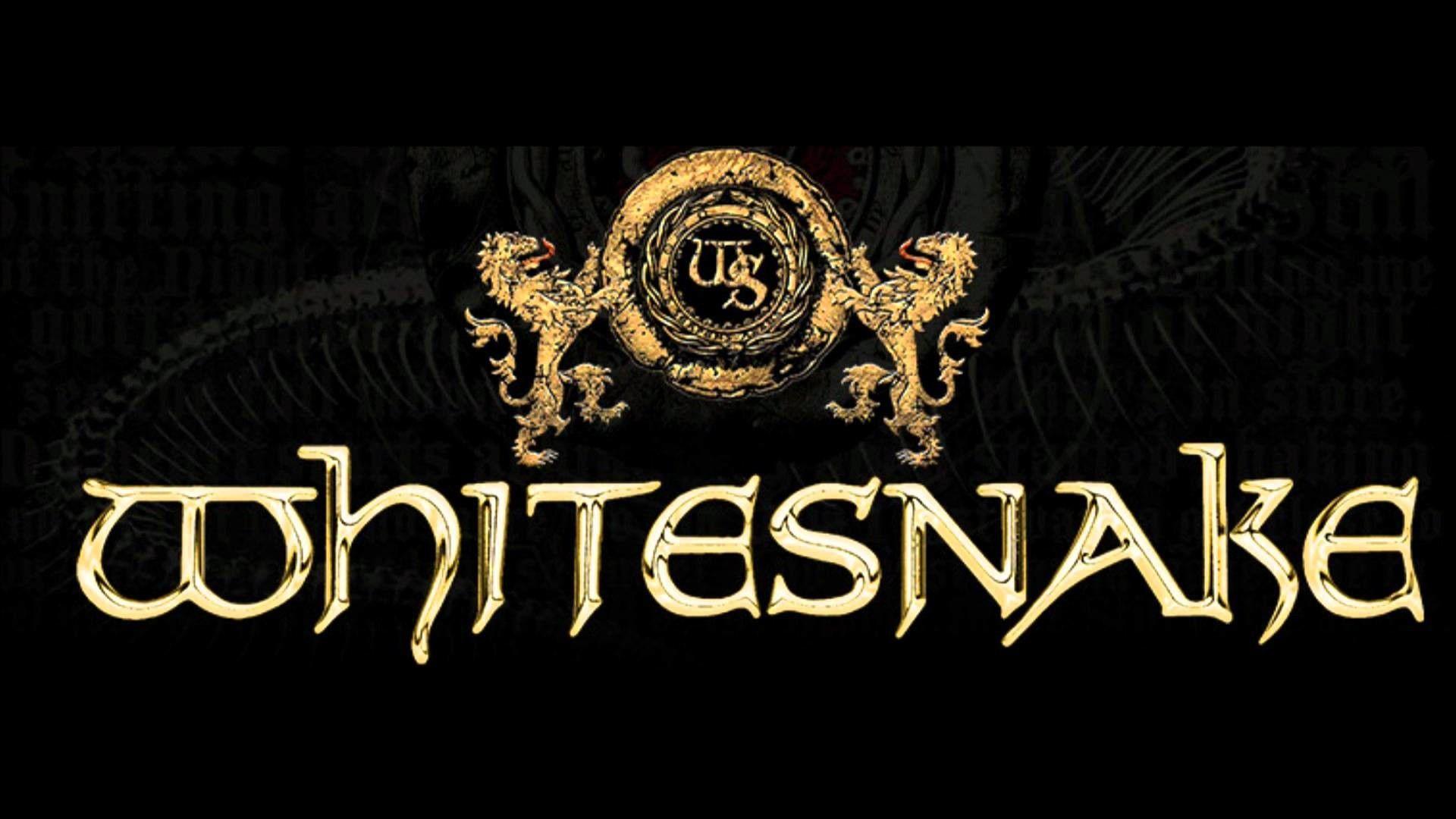 Whitesnake Wallpapers Top Free Whitesnake Backgrounds WallpaperAccess