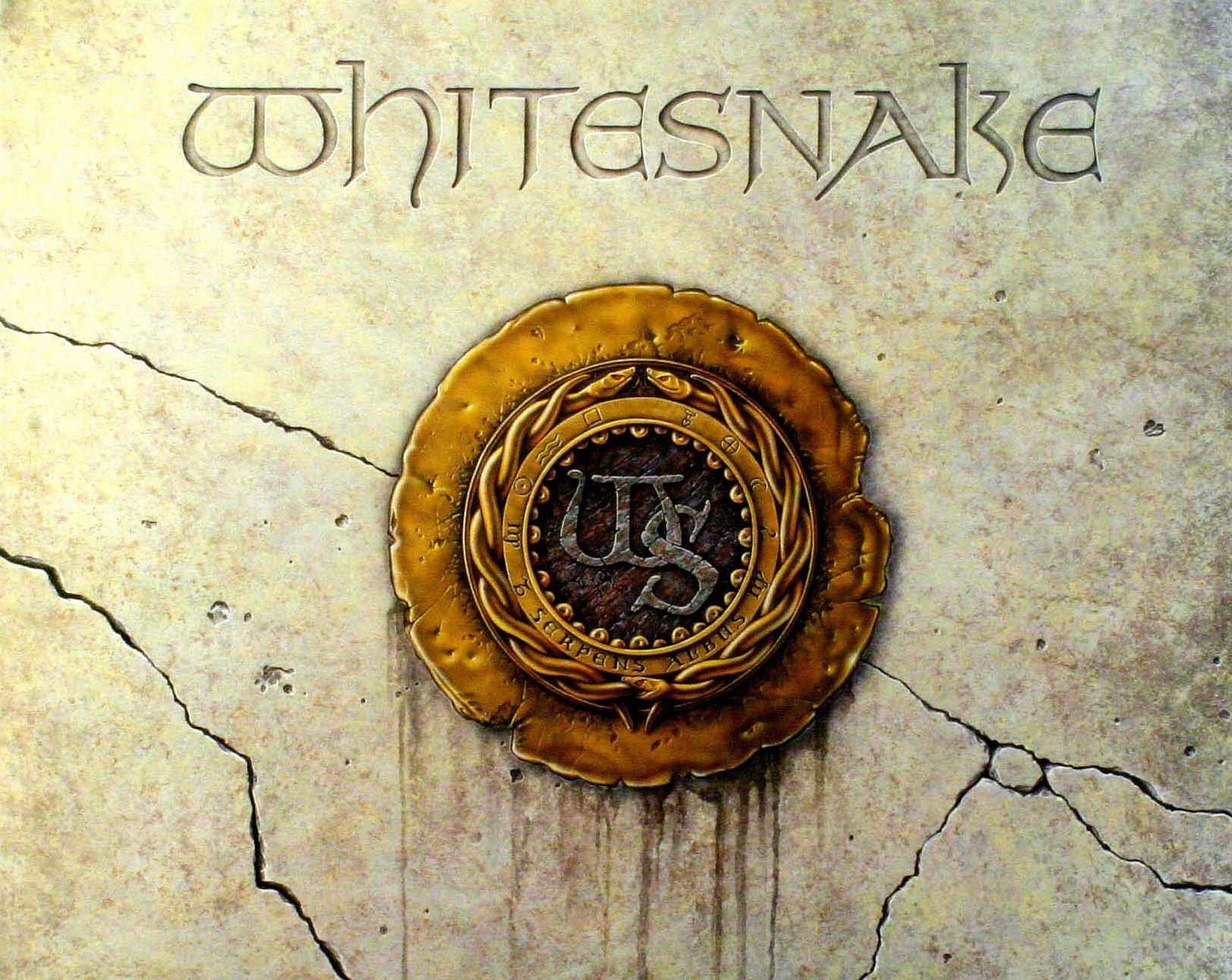 Whitesnake Wallpapers Top Free Whitesnake Backgrounds WallpaperAccess