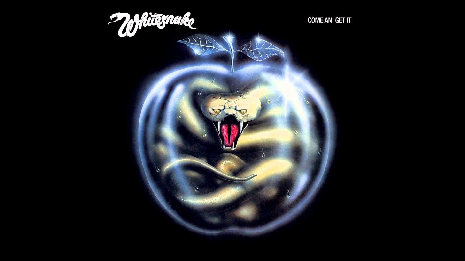 Whitesnake Wallpapers Top Free Whitesnake Backgrounds WallpaperAccess