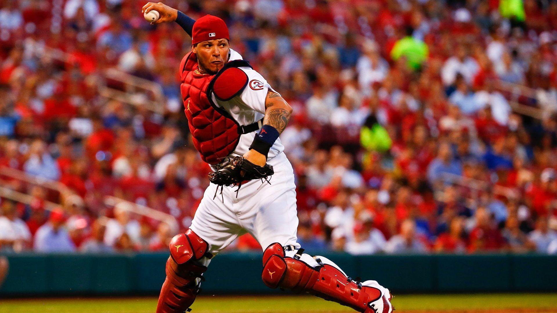 Yadier Molina Wallpapers Top Free Yadier Molina Backgrounds