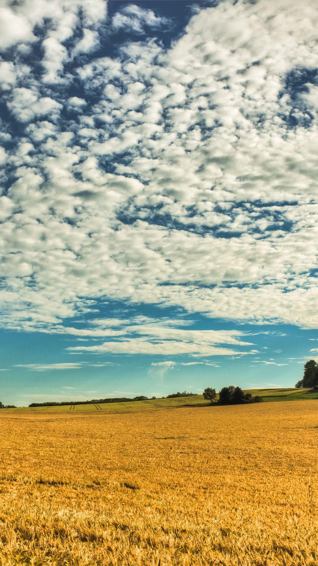 Yellow Cloud Wallpapers Top Free Yellow Cloud Backgrounds