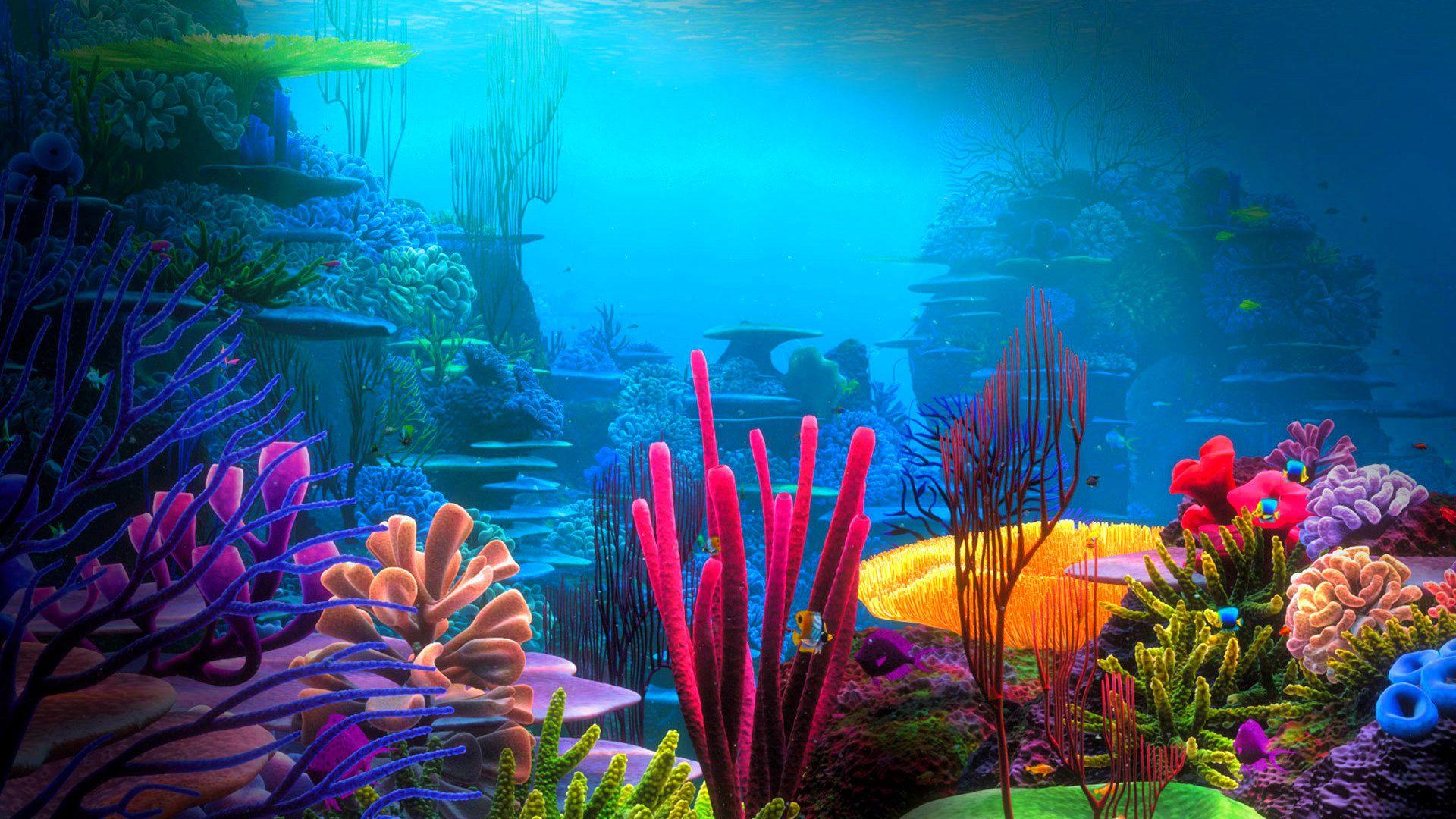 Underwater World Wallpapers Top Free Underwater World Backgrounds