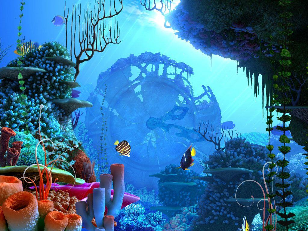Underwater World Wallpapers Top Free Underwater World Backgrounds