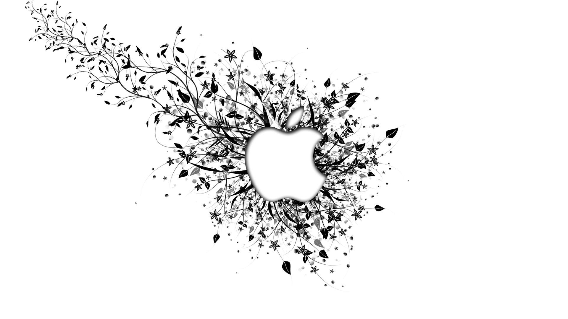 White Apple Wallpapers Top Free White Apple Backgrounds WallpaperAccess