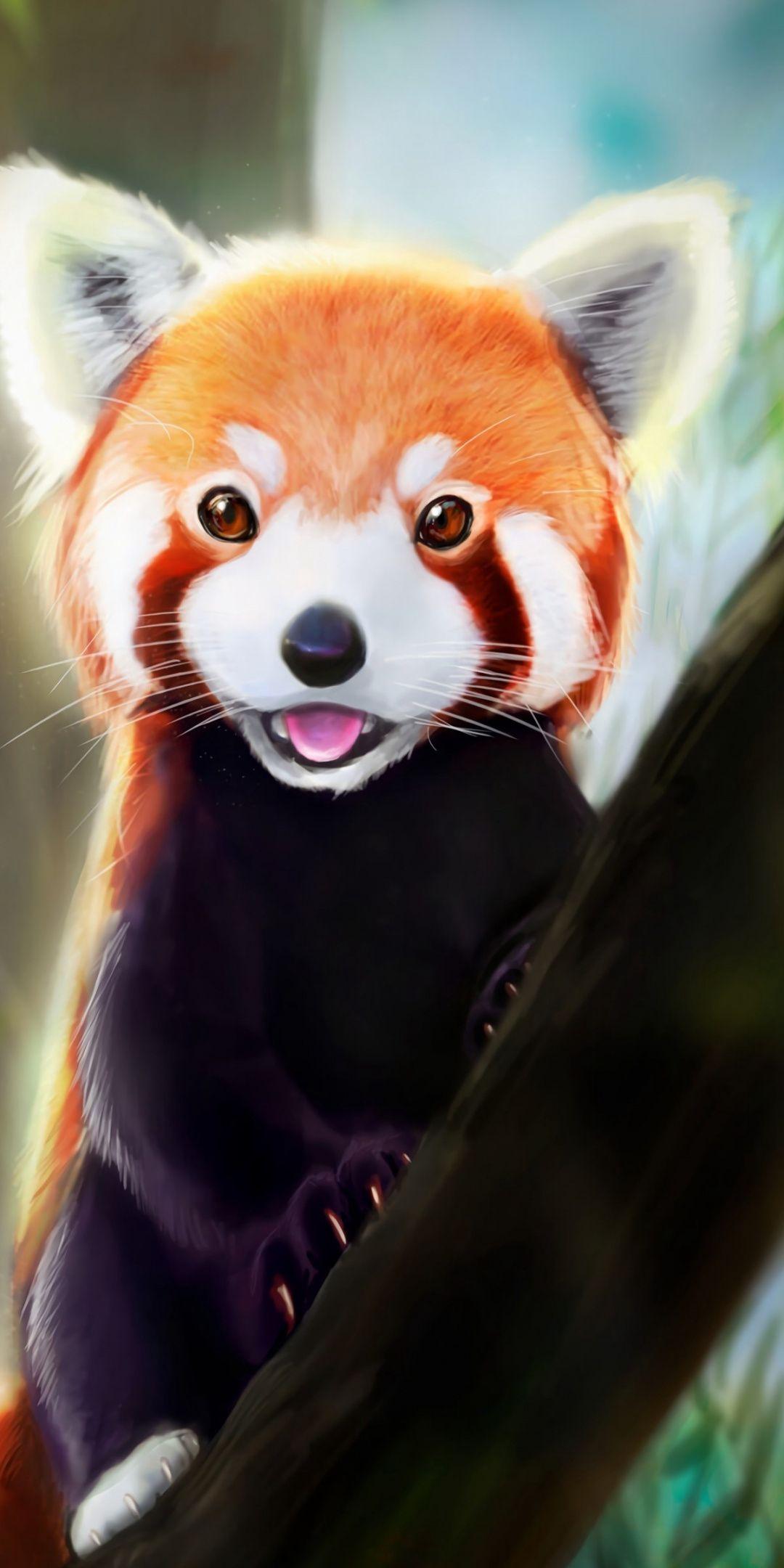 Red Panda Cute iPhone Wallpapers Top Free Red Panda Cute iPhone