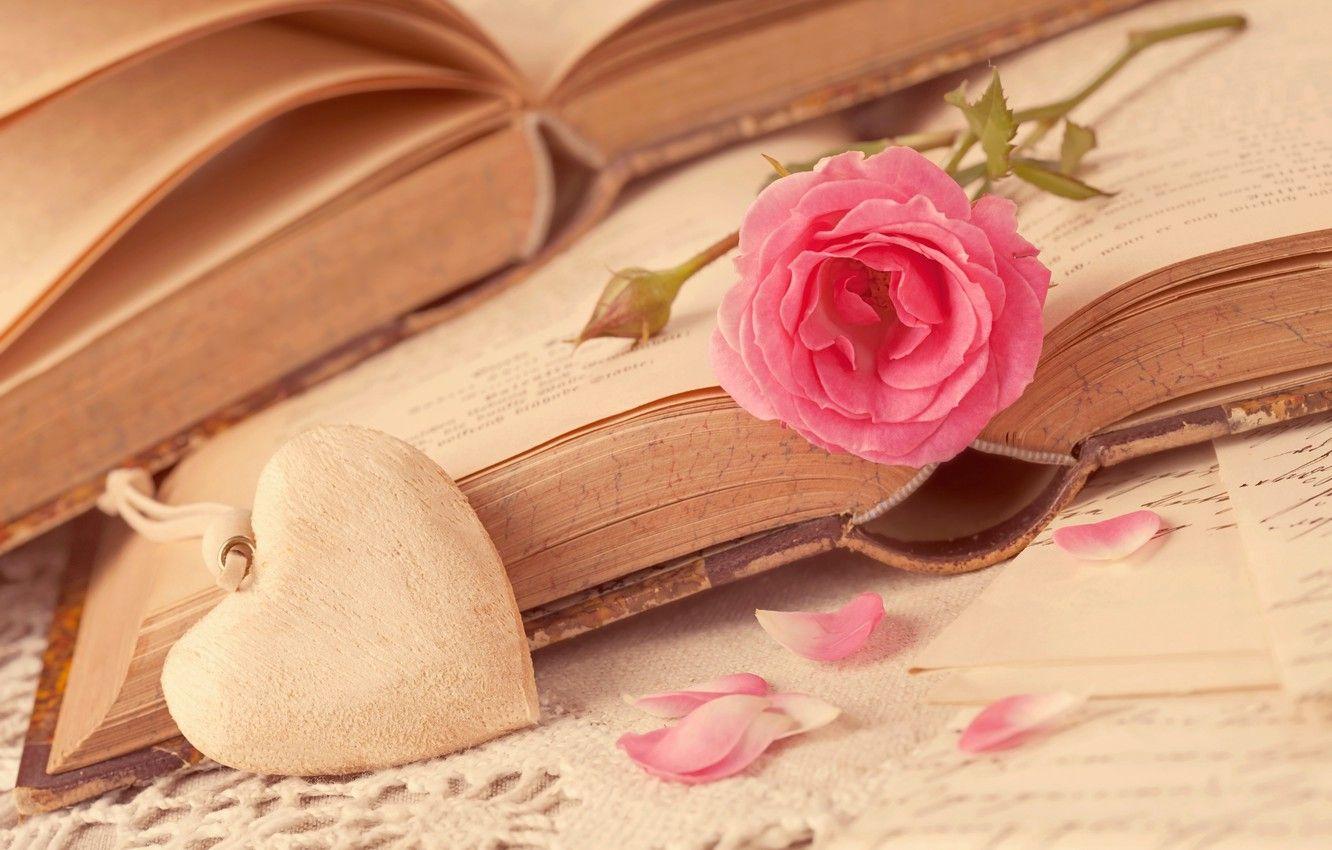 Pink Books Wallpapers Top Free Pink Books Backgrounds WallpaperAccess