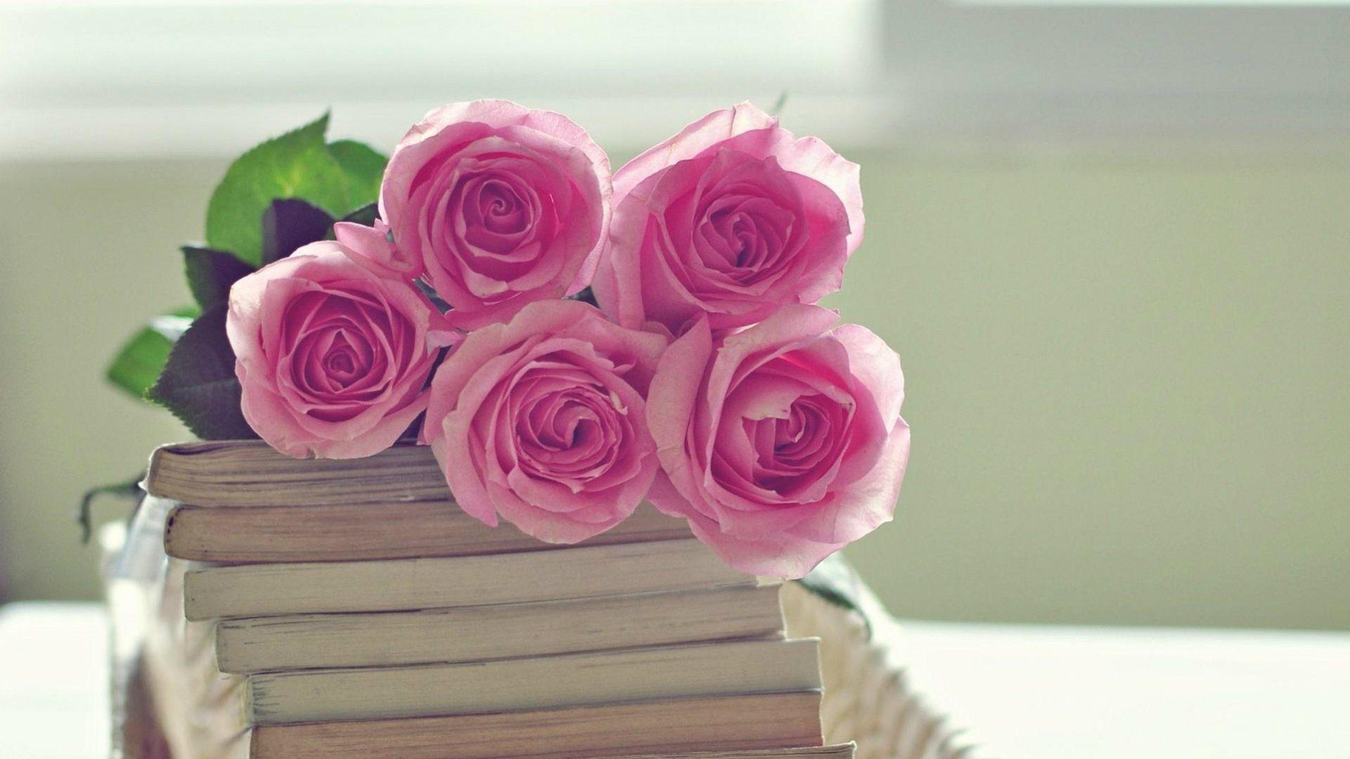 Pink Books Wallpapers Top Free Pink Books Backgrounds WallpaperAccess