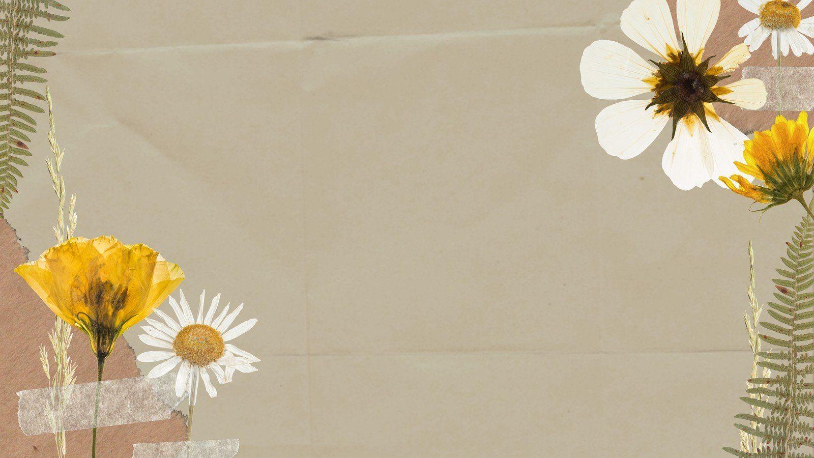 Beige Collage Wallpapers Top Free Beige Collage Backgrounds