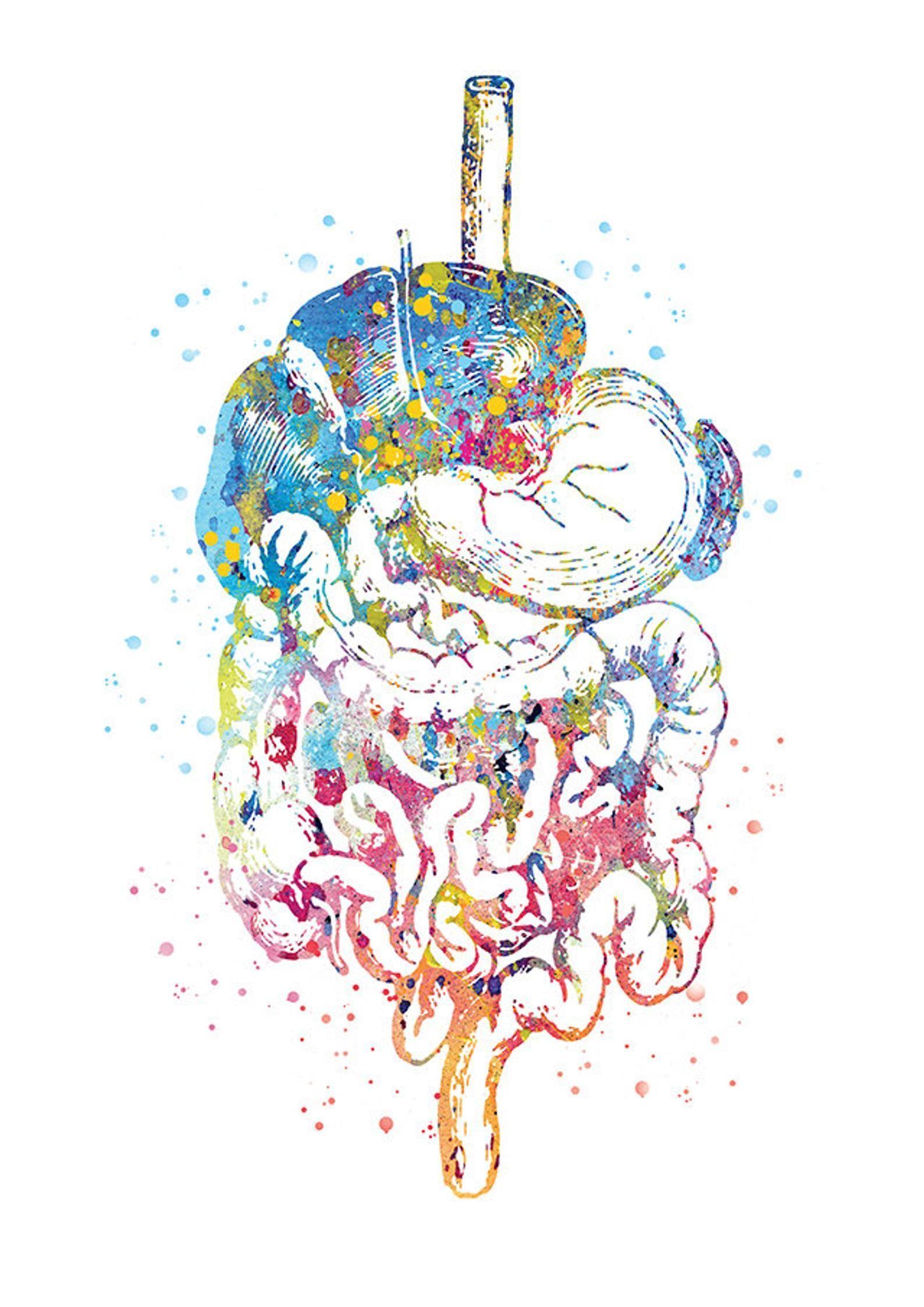 Medicine Art Wallpapers Top Free Medicine Art Backgrounds