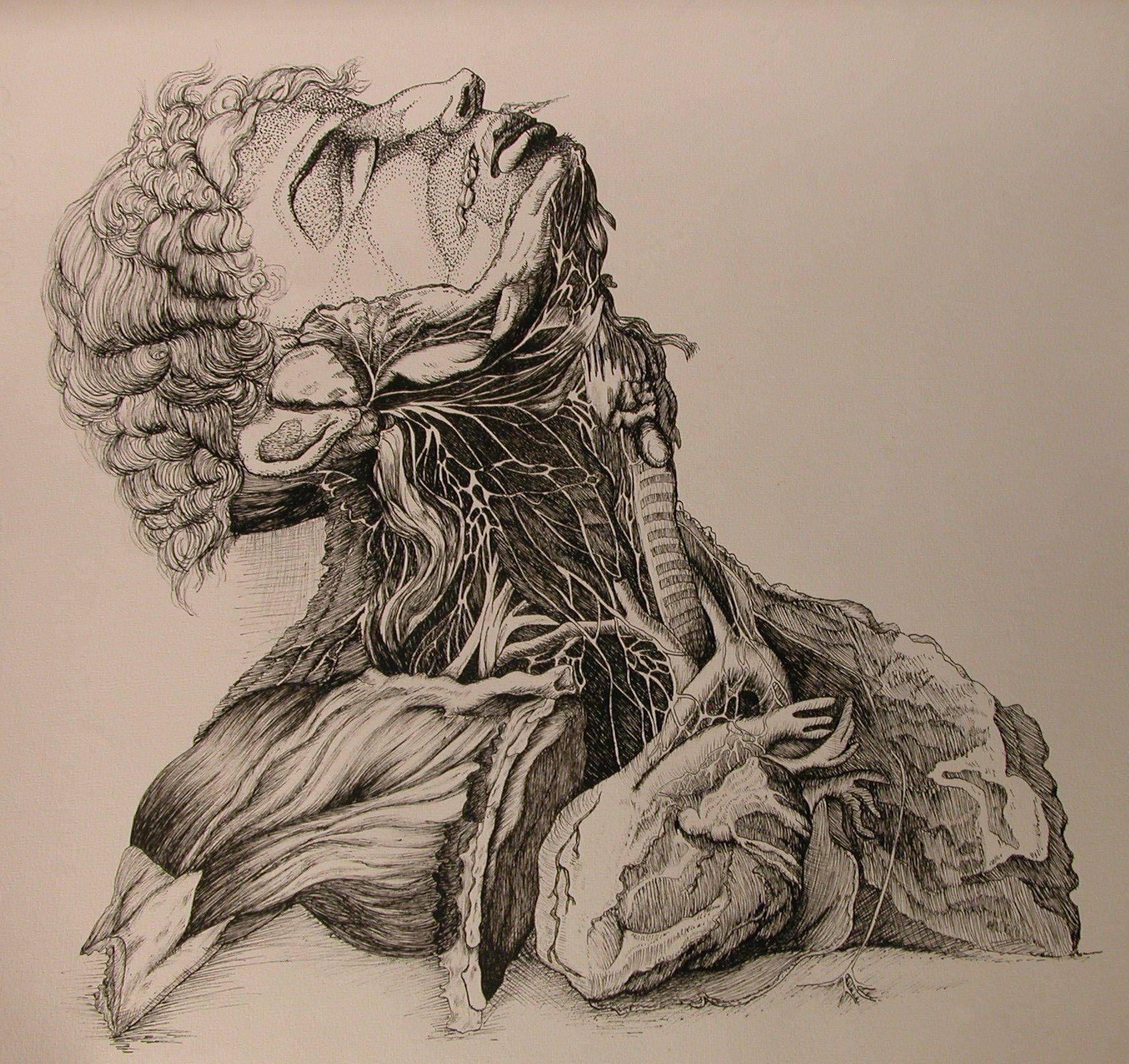 Medicine Art Wallpapers Top Free Medicine Art Backgrounds