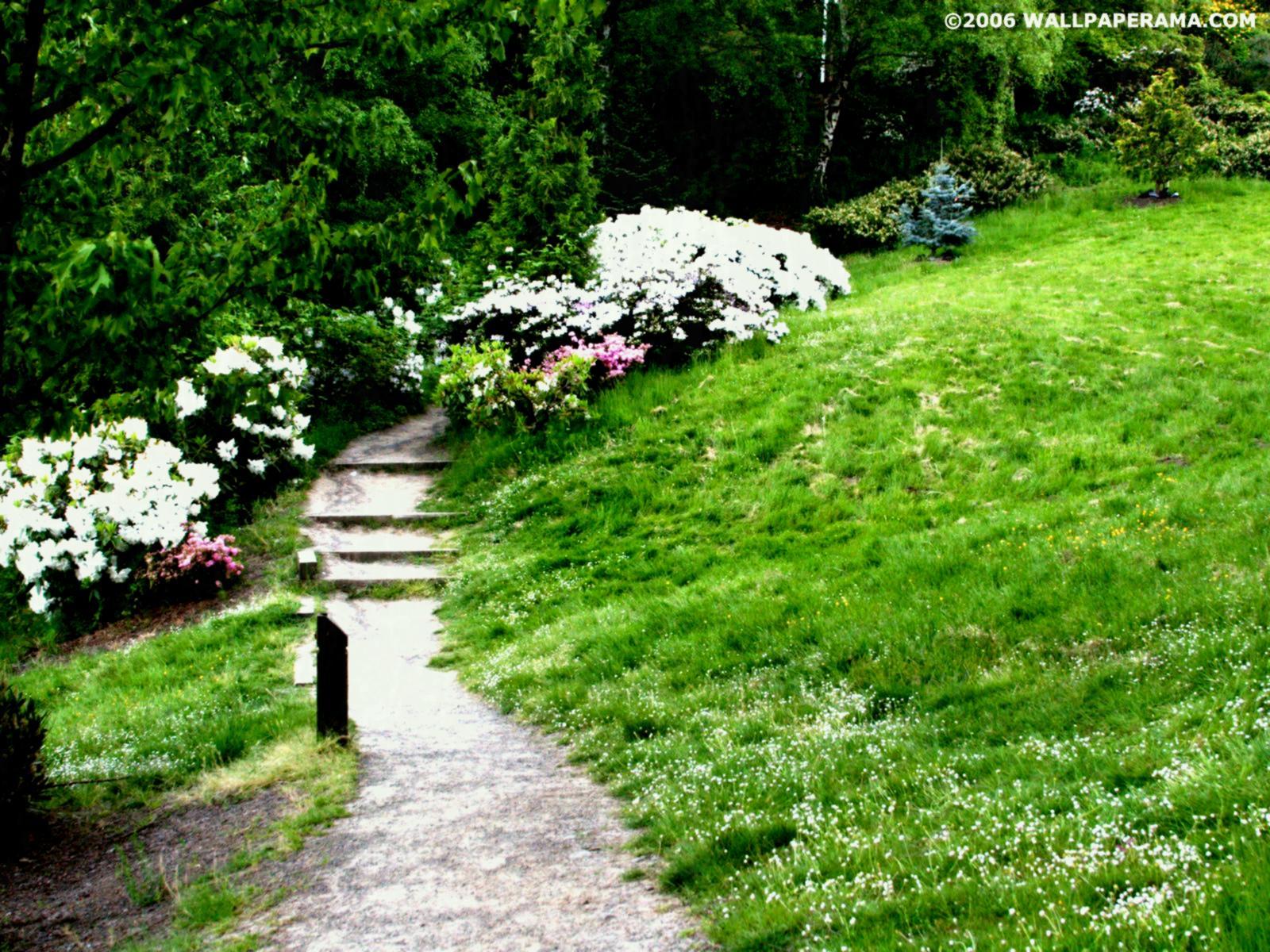 Secret Garden Wallpapers Top Free Secret Garden Backgrounds