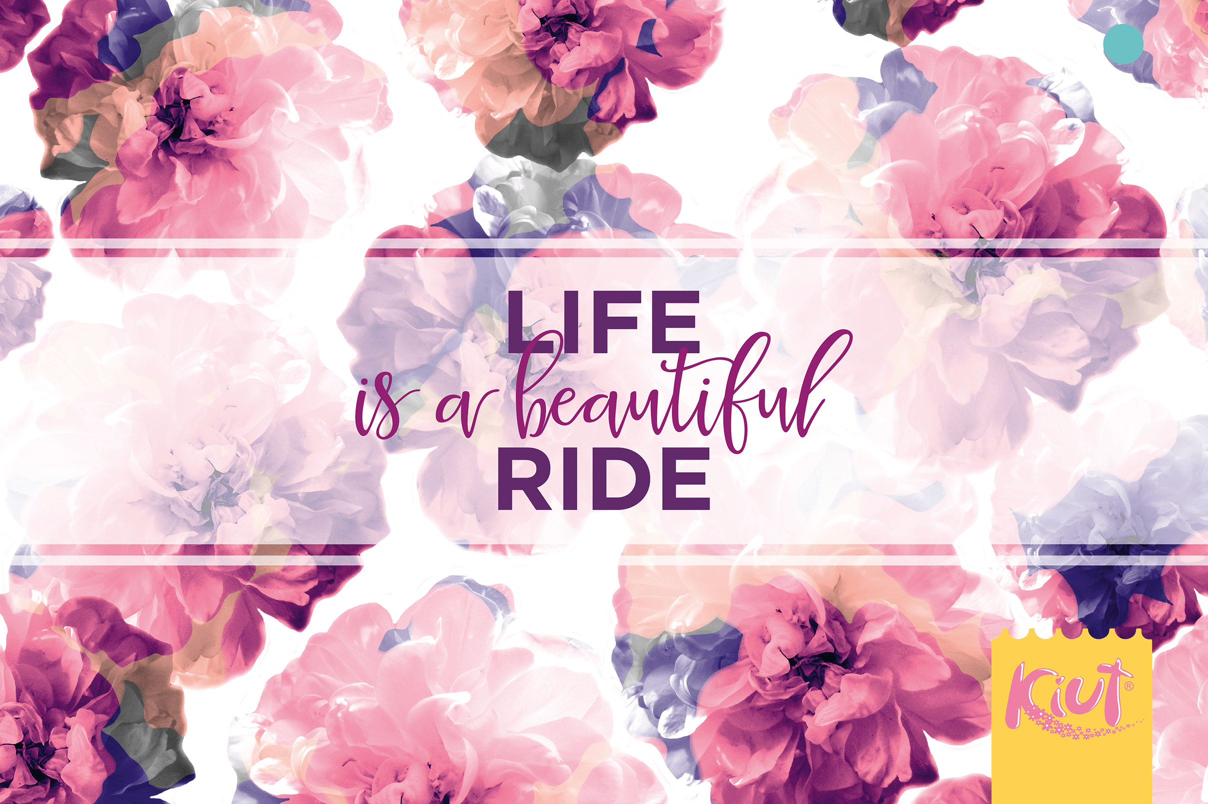 Life Is Beautiful Wallpapers Top Free Life Is Beautiful Backgrounds WallpaperAccess