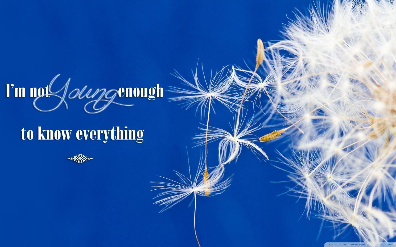 Life Is Beautiful Wallpapers Top Free Life Is Beautiful Backgrounds WallpaperAccess